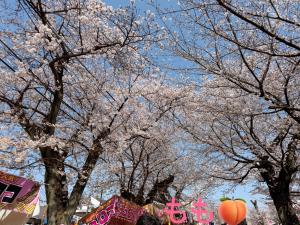 04/02  上条 もものブログ写真