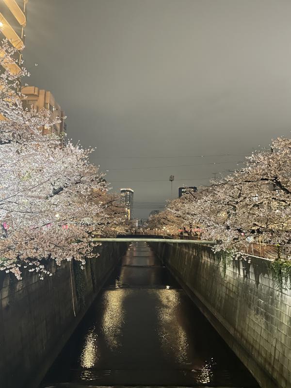 2026-04-02 17:22:44更新 音倉 しずくのブログ写真