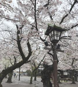 松村 かおり 一つ前のブログ写真