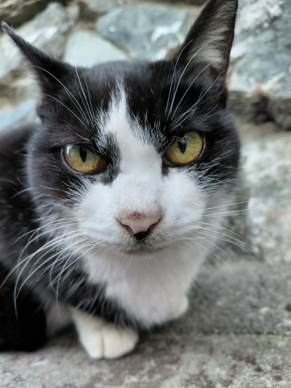 2026-04-03 23:57:39更新 山本 さくらのブログ写真