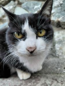 04/03  山本 さくらのブログ写真