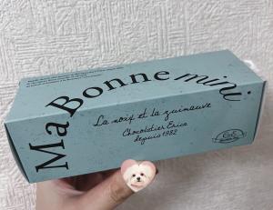 04/04  吹石 あおいのブログ写真