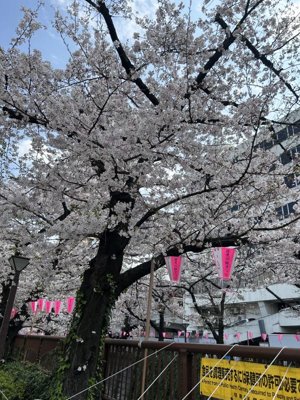 2026-04-05 22:54:39更新 長尾 ほのかのブログ写真