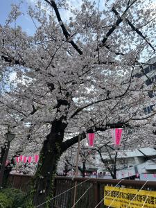 04/05  長尾 ほのかのブログ写真