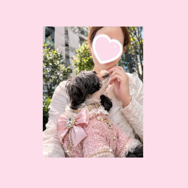 2026-04-08 21:52:37更新 有村 あめのブログ写真