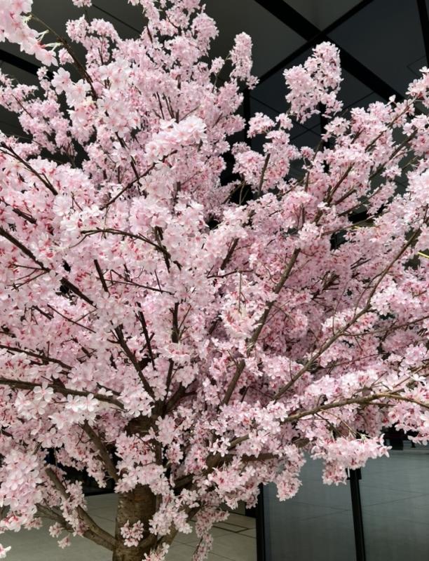 2026-04-09 11:36:18更新 雪乃 ひなのブログ写真