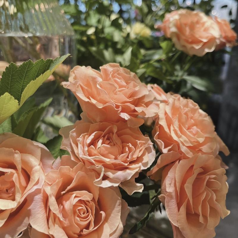 2025-11-07 15:58:07更新 松村 かおりのブログ写真