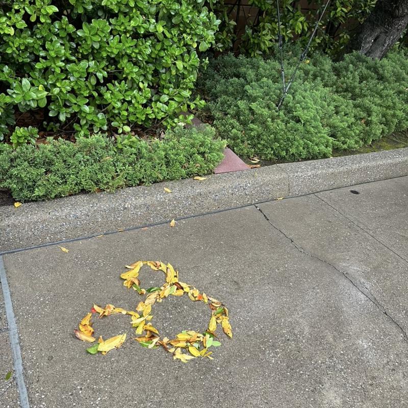 2026-03-07 17:19:07更新 松村 かおりのブログ写真