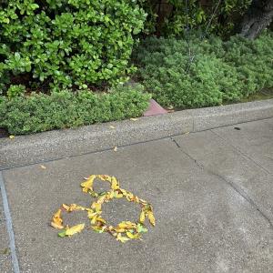 03/07  松村 かおりのブログ写真