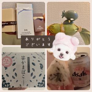 04/15  吉岡 まりかのブログ写真