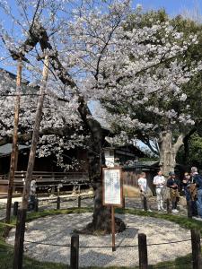 04/15  川原 みなみのブログ写真