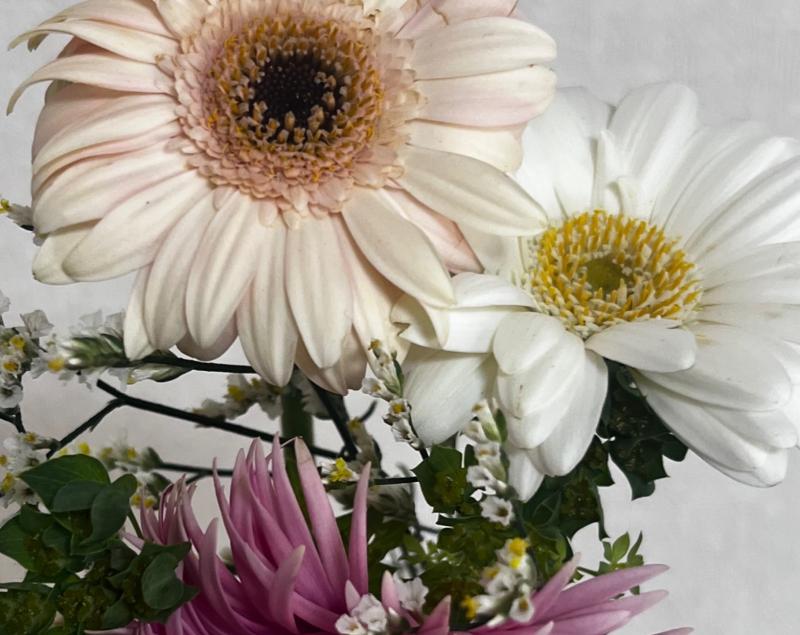 2026-04-21 10:26:10更新 吹石 あおいのブログ写真