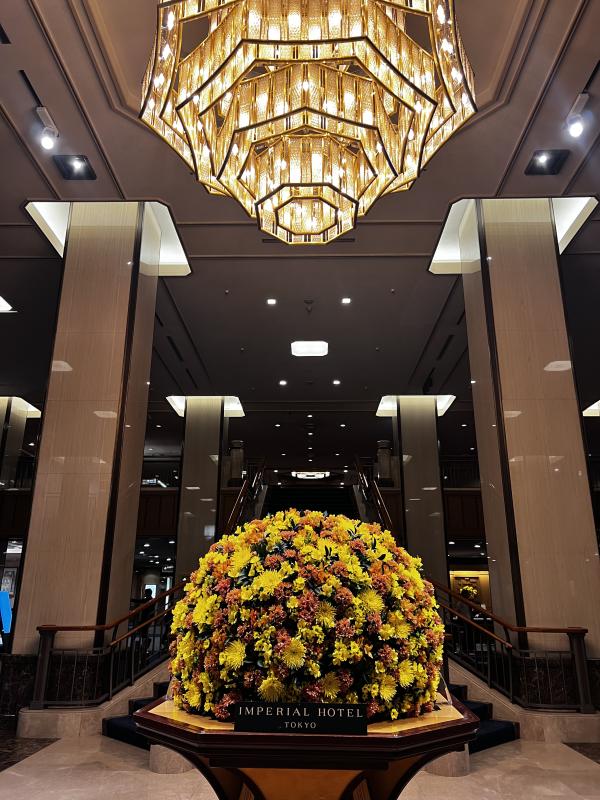 2026-04-23 10:35:01更新 吹石 あおいのブログ写真