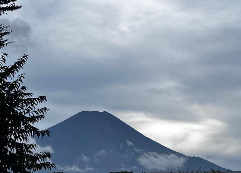 2026-04-30 10:26:53更新 吹石 あおいのブログ写真