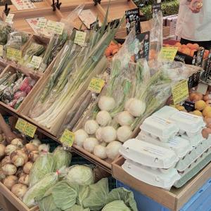 真鍋 あかりの更新ブログ写真