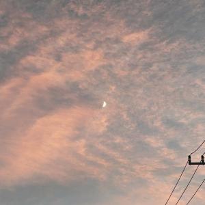 月城 いおのブログ写真