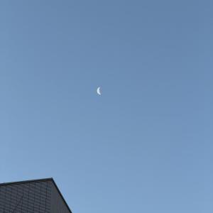 月城 いおのブログ写真