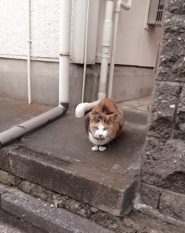 漆原 はなのブログ写真