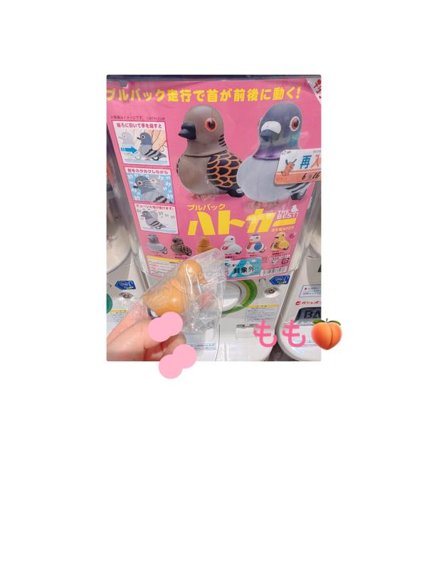 上条 もものブログ写真