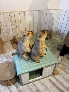速水 あゆみのブログ写真