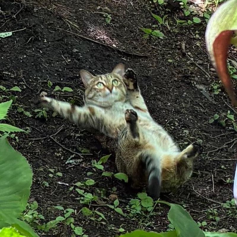 音梨 くるみのブログ写真