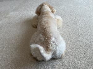 川原 みなみのブログ写真