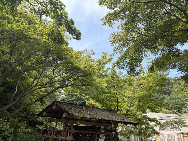 松村 かおりのブログ写真