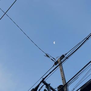月城 いおのブログ写真