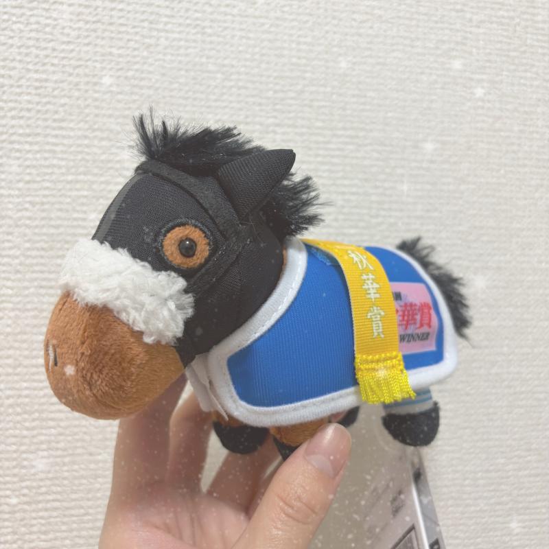 七海 るいのブログ写真