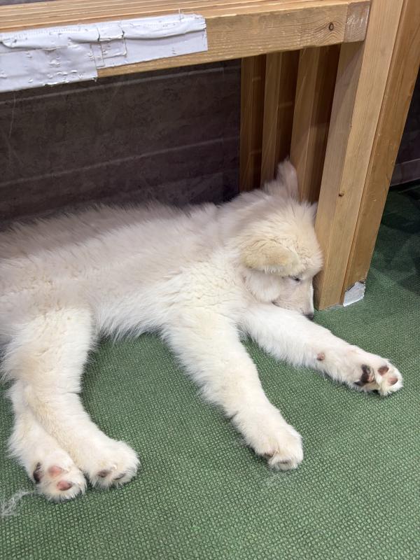 速水 あゆみのブログ写真