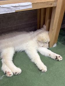 速水 あゆみのブログ写真