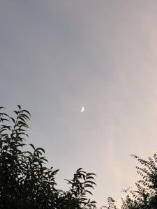 月城 いおのブログ写真