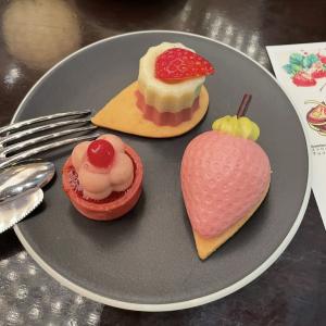 芹沢 えりかのブログ写真