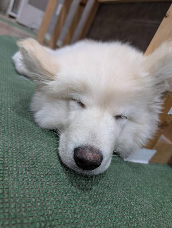 速水 あゆみのブログ写真