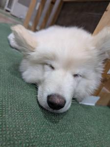 速水 あゆみのブログ写真