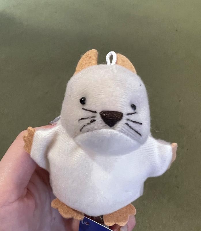 吹石 あおいのブログ写真
