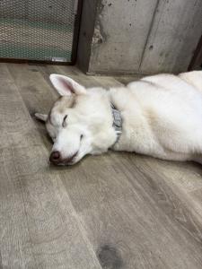 速水 あゆみのブログ写真