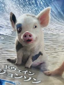 柏木 まなのブログ写真