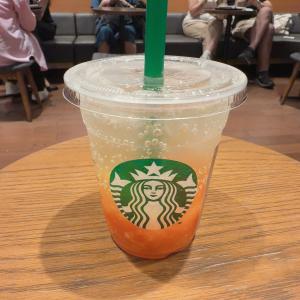 芹沢 えりかのブログ写真