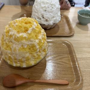 松村 かおりのブログ写真