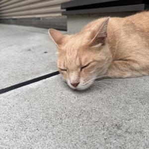 杉野 みおのブログ写真