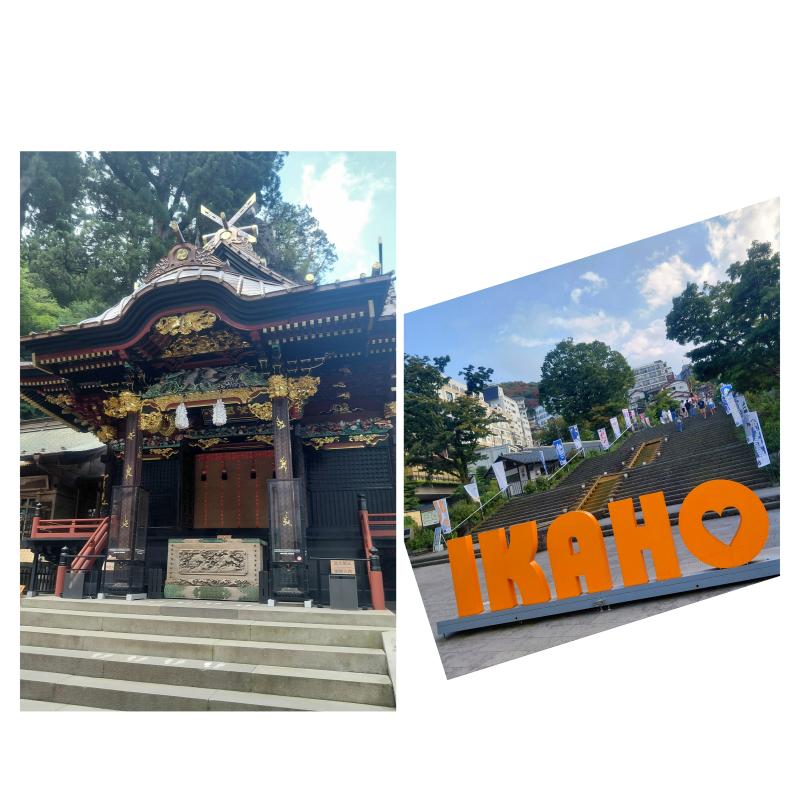 山本 さくらのブログ写真
