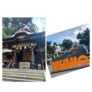 山本 さくらのブログ写真