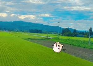 漆原 はなのブログ写真