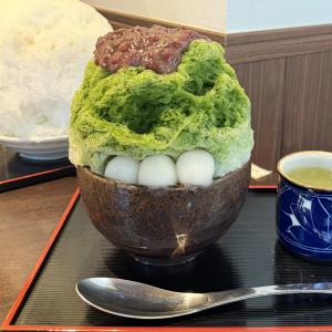 芹沢 えりかのブログ写真