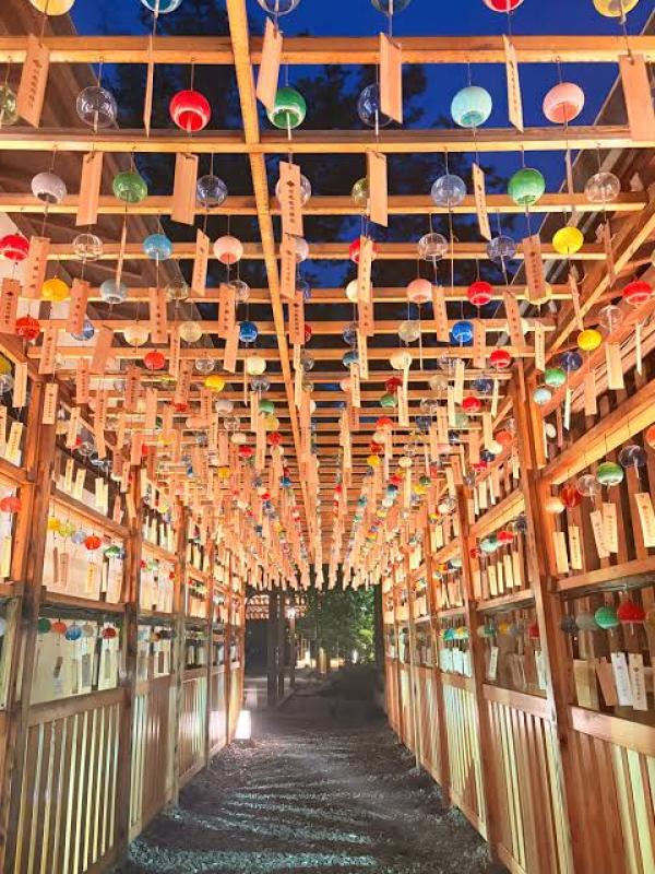 山本 さくらのブログ写真