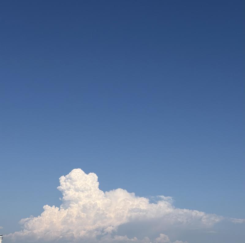 月城 いおのブログ写真