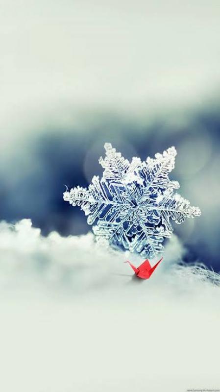 雪乃 ひなのブログ写真