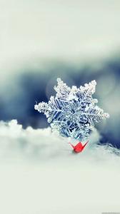 雪乃 ひなのブログ写真
