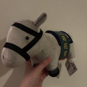 七海 るいのブログ写真